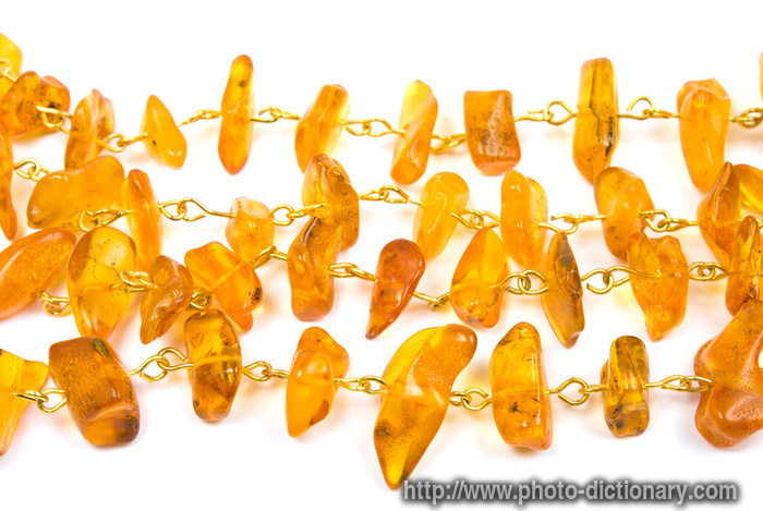 amber necklace - photo/picture definition - amber necklace word and phrase image