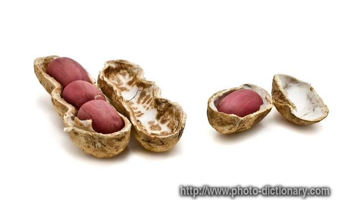 groundnuts - photo/picture definition - groundnuts word and phrase image