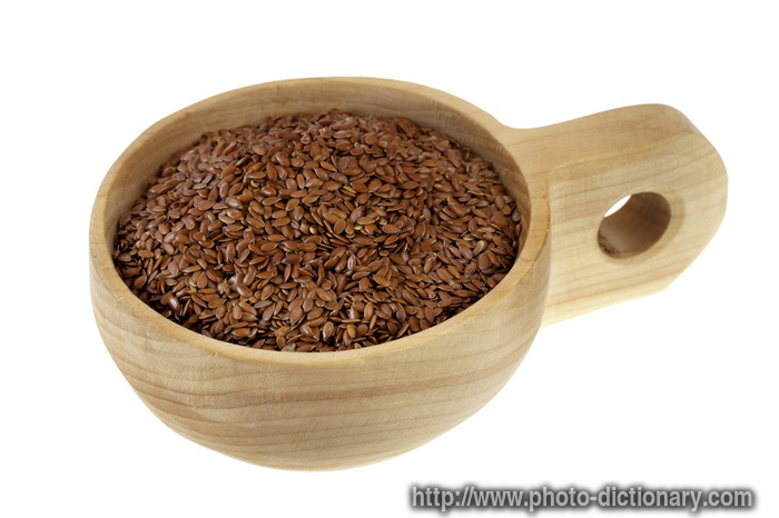 flax seeds - photo/picture definition - flax seeds word and phrase image
