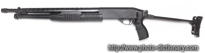 pump rifle - photo/picture definition - pump rifle word and phrase image