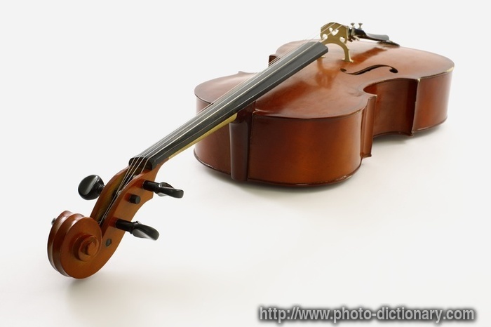 violoncello - photo/picture definition - violoncello word and phrase image