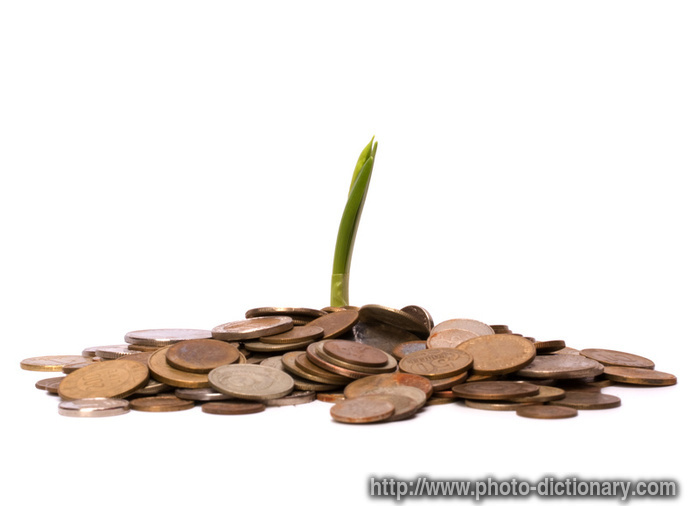money sprouts - photo/picture definition - money sprouts word and phrase image