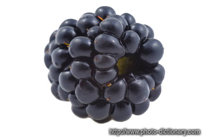 dewberry - photo/picture definition - dewberry word and phrase image
