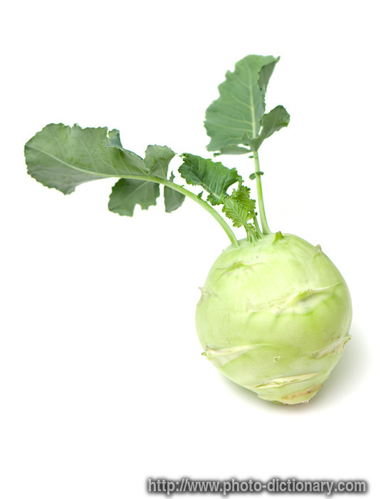 kohlrabi cabbage - photo/picture definition - kohlrabi cabbage word and phrase image