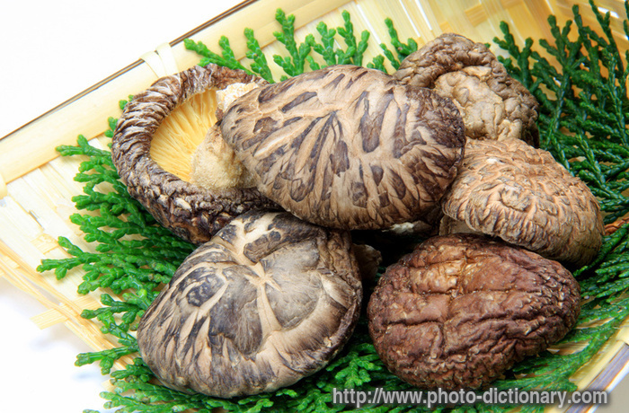 dried shiitake - photo/picture definition - dried shiitake word and phrase image