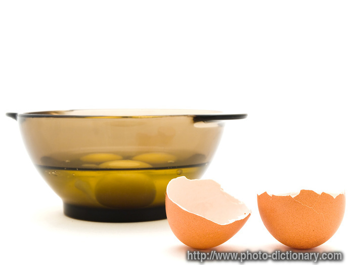 egg shell - photo/picture definition - egg shell word and phrase image
