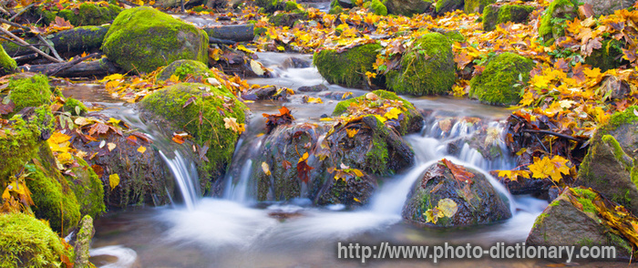 cascade - photo/picture definition - cascade word and phrase image