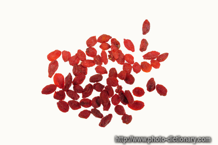 wolfberry - photo/picture definition - wolfberry word and phrase image