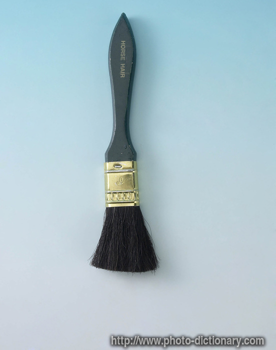 horse hair paintbrush - photo/picture definition - horse hair paintbrush word and phrase image