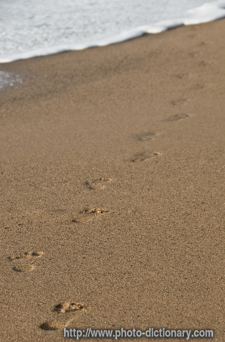 footprints - photo/picture definition - footprints word and phrase image