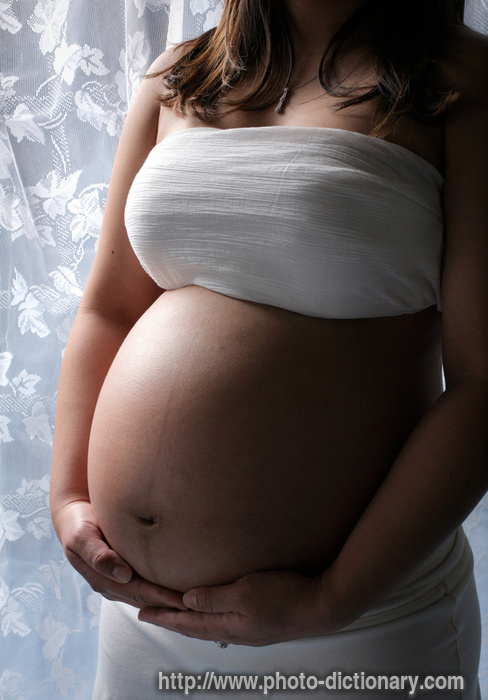 pregnant - photo/picture definition - pregnant word and phrase image
