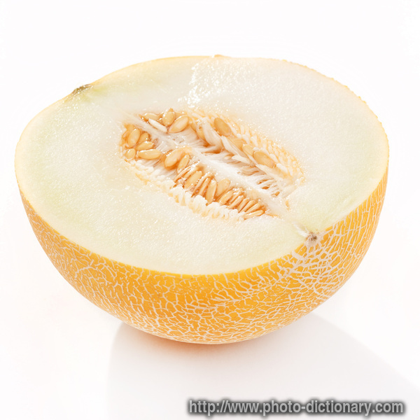 galia melon - photo/picture definition - galia melon word and phrase image