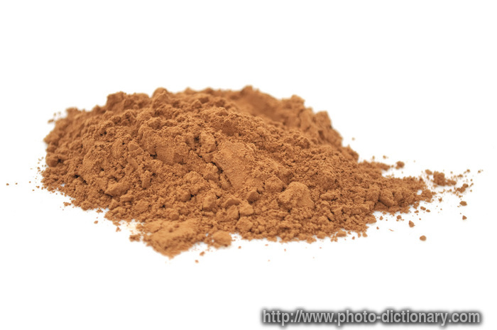 cocoa powder - photo/picture definition - cocoa powder word and phrase image