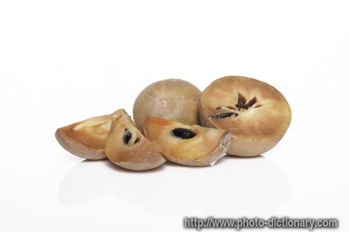 chikoo fruits - photo/picture definition - chikoo fruits word and phrase image