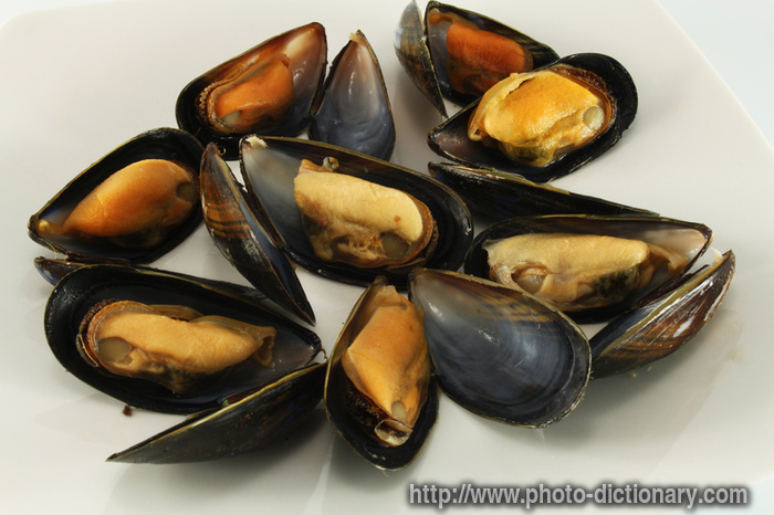 shelled mussels - photo/picture definition - shelled mussels word and phrase image