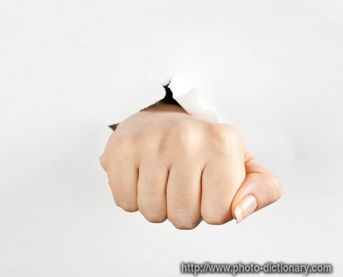 fist - photo/picture definition - fist word and phrase image