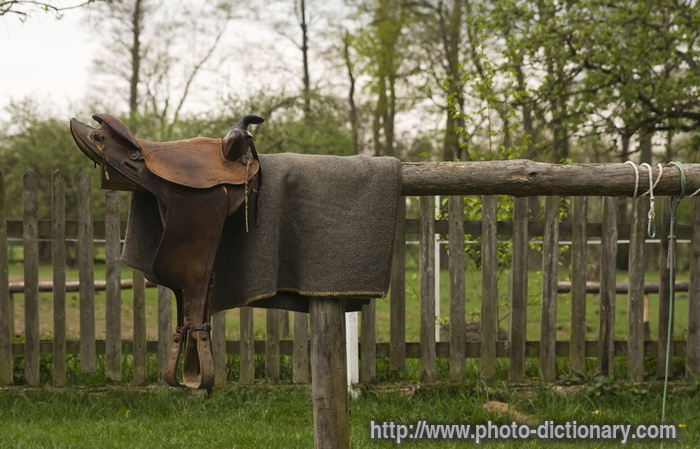 saddle - photo/picture definition - saddle word and phrase image