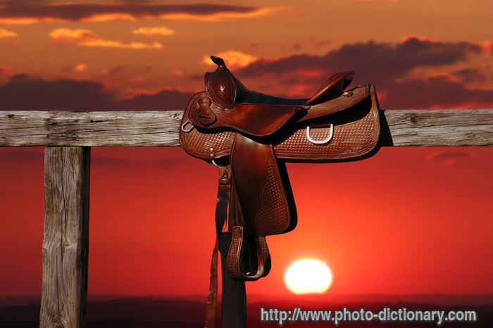 horse saddle - photo/picture definition - horse saddle word and phrase image