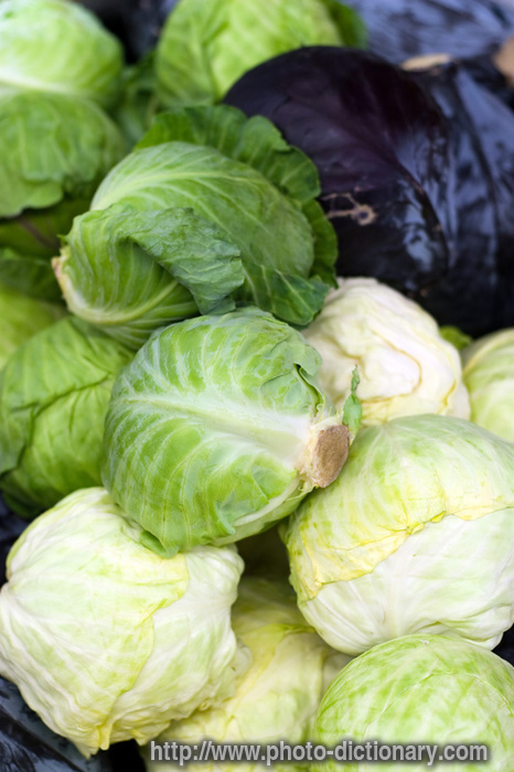 fresh cabbage heads - photo/picture definition - fresh cabbage heads word and phrase image