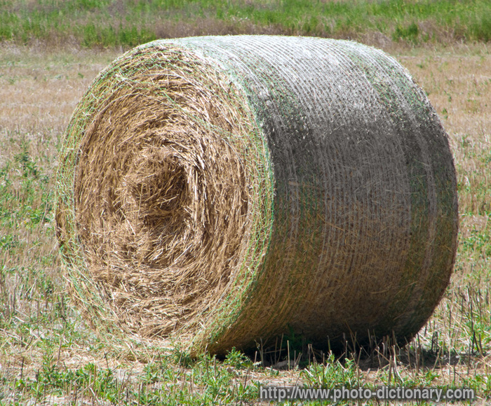 rolling haystack - photo/picture definition - rolling haystack word and phrase image