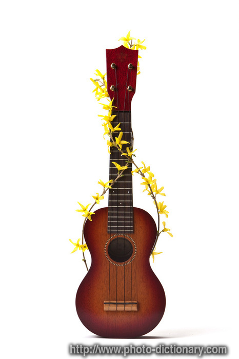 ukulele - photo/picture definition - ukulele word and phrase image