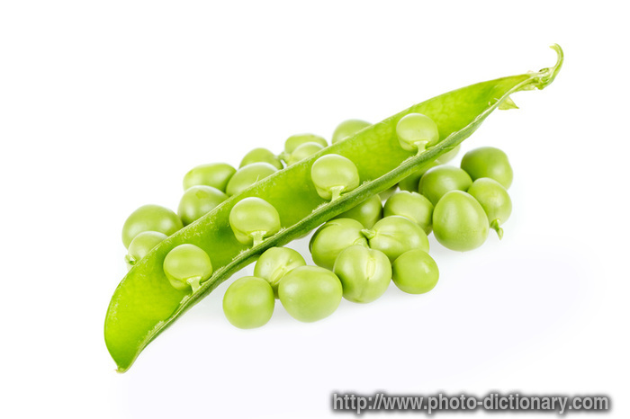 sweet peas pod - photo/picture definition - sweet peas pod word and phrase image