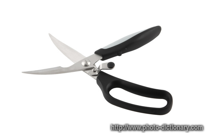 professional kitchen scissors - photo/picture definition - professional kitchen scissors word and phrase image