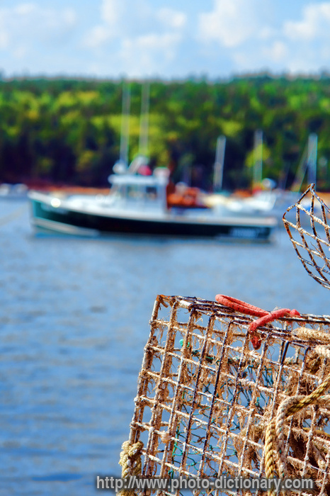 lobster trap - photo/picture definition - lobster trap word and phrase image