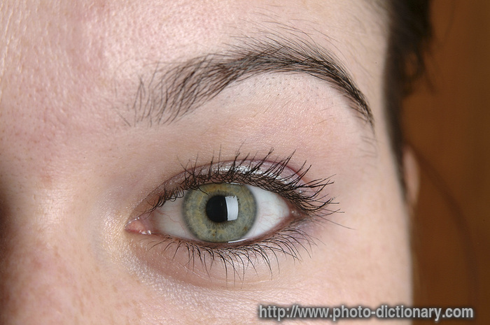 female eye - photo/picture definition - female eye word and phrase image