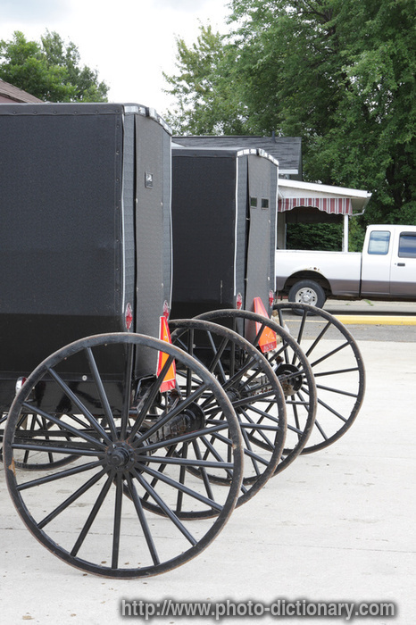 Amish carriages - photo/picture definition - Amish carriages word and phrase image