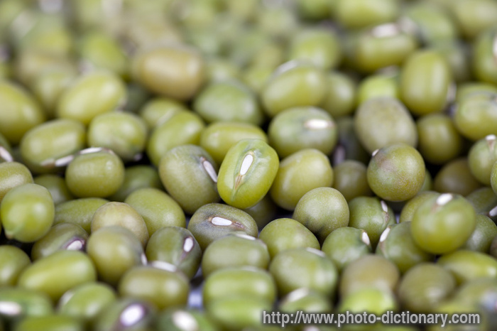 dried mung beans - photo/picture definition - dried mung beans word and phrase image