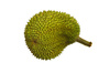 durian - photo/picture definition - durian word and phrase image
