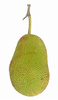 jackfruit - photo/picture definition - jackfruit word and phrase image