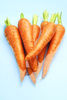 wet carrots - photo/picture definition - wet carrots word and phrase image