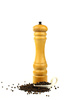 wooden peppermill - photo/picture definition - wooden peppermill word and phrase image