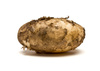 lincoln potato - photo/picture definition - lincoln potato word and phrase image