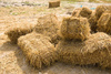 cattle straw - photo/picture definition - cattle straw word and phrase image