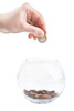 glass piggy bank - photo/picture definition - glass piggy bank word and phrase image