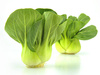 bok choy - photo/picture definition - bok choy word and phrase image