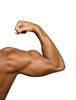 biceps - photo/picture definition - biceps word and phrase image