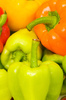 peppers - photo/picture definition - peppers word and phrase image