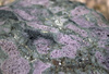 purple stone - photo/picture definition - purple stone word and phrase image