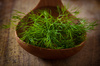 stalks of dill - photo/picture definition - stalks of dill word and phrase image