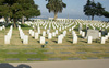cemetery - photo/picture definition - cemetery word and phrase image