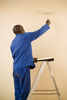 painter - photo/picture definition - painter word and phrase image