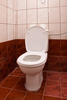 toilet seat - photo/picture definition - toilet seat word and phrase image
