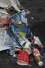 litter - photo/picture definition - litter word and phrase image
