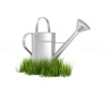 watering can - photo/picture definition - watering can word and phrase image