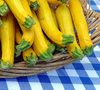 zucchini - photo/picture definition - zucchini word and phrase image