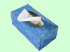 tissue box - photo/picture definition - tissue box word and phrase image